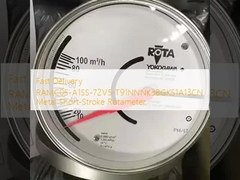 Fast Delivery RAMC05-A1SS-72V5-T91NNNK3BGKS1A13CN Metal Short-Stroke Rotameter
