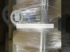E+H Vortex Flowmeters Prowirl R 200 7r2csm/7r2csn, Thermal Mass Flowmeters