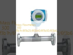 Thermal Mass Flowmeters T-Mass F 300 6f3b15/6f3b1h/6f3b25/6f3b40/6f3b50/6f3b65/6f3b80