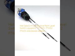 Hot Sale E+H Conductive Point Level Switch Liquipoint T FTW31, FTW32 FTW31-A1A3AA4A 400mm