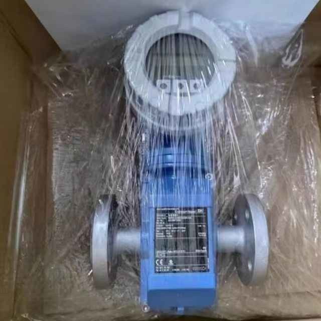 E+H Promag 10L1F Turbintyp Durchflussmesser Digitaler Wasserflusssensor Digitaler Wasserflussmesser