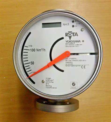 RAMC01-A2SS-47S0-H91424/KF1/P3/P6/SD/IE1/CN RAMC Metal Short Stroke Rotameter