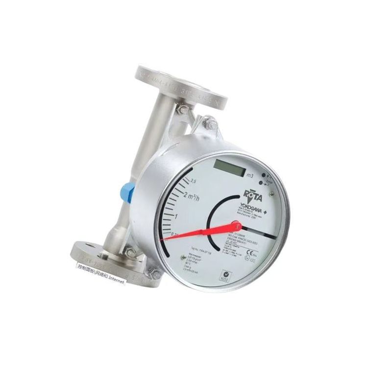 RAMC01-A2SS-47S0-H91424/KF1/P3/P6/SD/IE1/CN RAMC Metal Short Stroke Rotameter