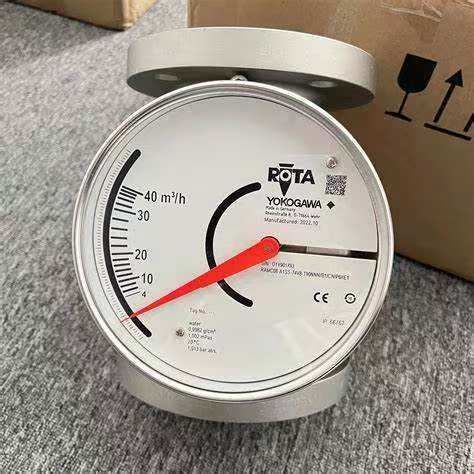 RAMC01-A2SS-47S0-H91424/KF1/P3/P6/SD/IE1/CN RAMC Metal Short Stroke Rotameter