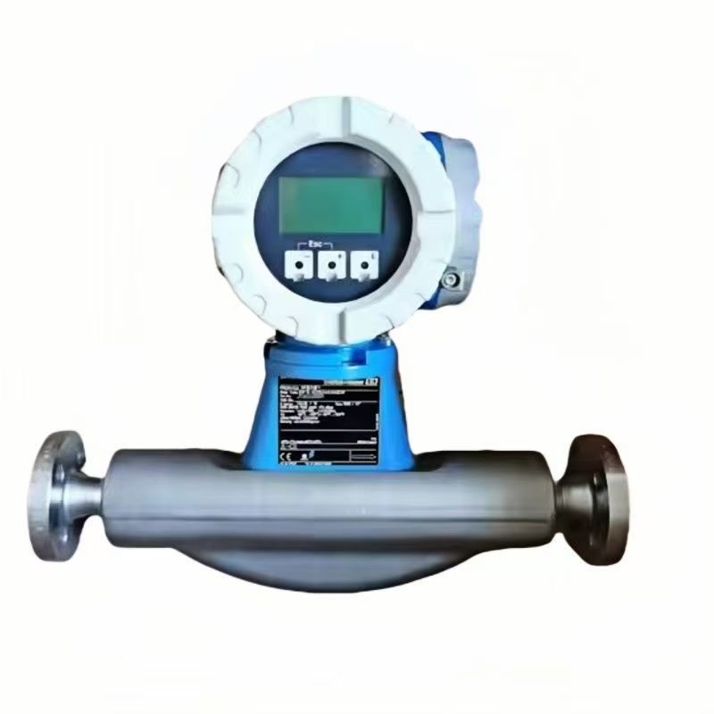 Flowmeter Proline Promass F 300 Series 8F3B08 8F3B15 8F3B1F 8F3B1H 8F3B25 8F3B40 8F3B50 8F3B80
