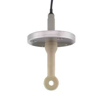 Original E+H Digital Conductivity Sensor Indumax CLS50D CLS50D-GR1B22 With High Quality